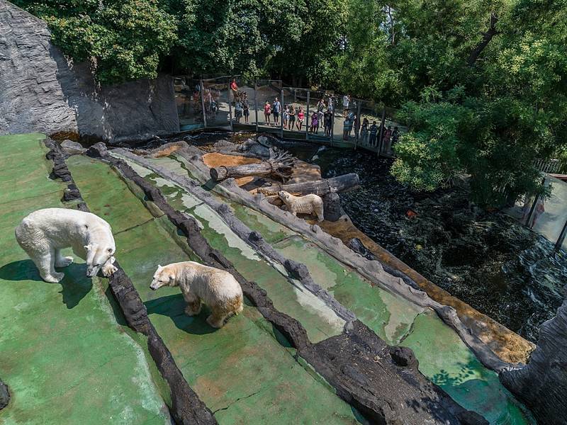 DNEŠNÍ PODOBA jednoho z výběhů ledních medvědů. Pohled shora, kam dnes již návštěvníci nemají přístup.