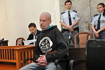 Dvanáct a půl roku vězení vyměřil v pátek Městský soud v Praze 34letému Františku Jarolímovi, který loni 21. července u stanice metra Hradčanská umlátil – zřejmě v opilosti – známého z bezdomovecké komunity.