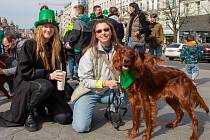 Z tradičního pochodu irských psích plemen Prahou na oslavu svátku sv. Patrika