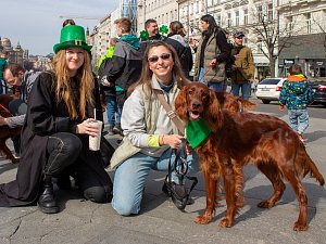 Z tradičního pochodu irských psích plemen Prahou na oslavu svátku sv. Patrika