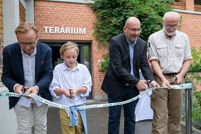 Zoo Praha otevřela v Teráriu u Rezervace Bororo expozici pro vodnice posvátné, pozoruhodné žáby žijící v přírodě pouze v jezeře Titicaca.