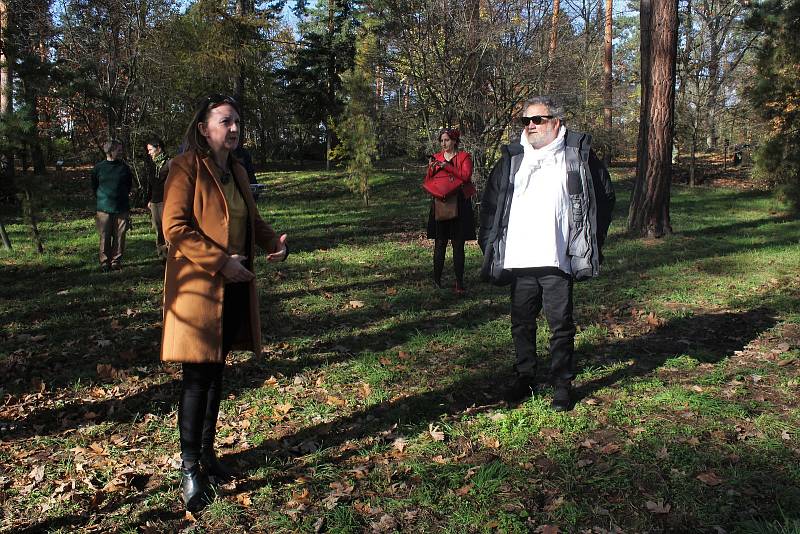 Fotograf Antonín Kratochvíl v botanické zahradě vysadil strom v rámci projektu Kořeny osobností.