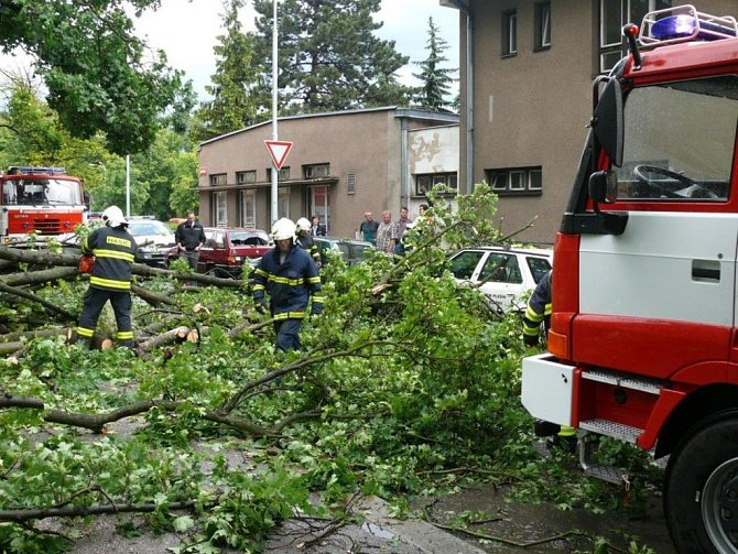 Středočeští hasiči odstraňují napadané stromy po bouřce.