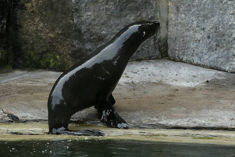 Z oslav a křtu knihy k 90ti letům Zoo Praha.