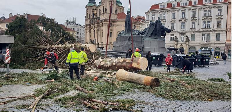 Kácení vánočního stromu na Staroměstském náměstí v lednu 2019.