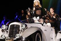 Americká zpěvačka Madonna při vystoupení 13. srpna 2009 v rámci svého turné Sticky&Sweet tour v pražském přírodním amfiteátru na Chodově.
