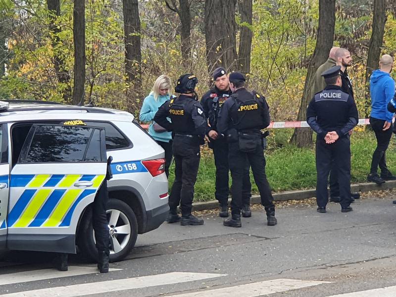 Z policejního vyšetřování střelby na chlapce v parku ve Slévačské ulici na Černém Mostě v Praze.