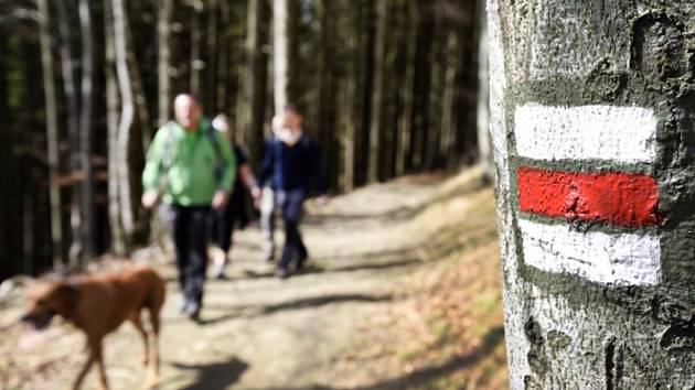 Turistických tras je v Praze málo a fungují spíše jako spojnice se Středočeským krajem.