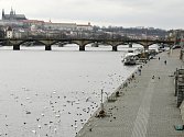 Náplavka na pravém břehu Vltavy v Praze.