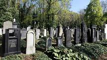Prohlídka Nového židovského hřbitova v Praze 3 po dokončení oprav náhrobků za téměř šest milionů korun.