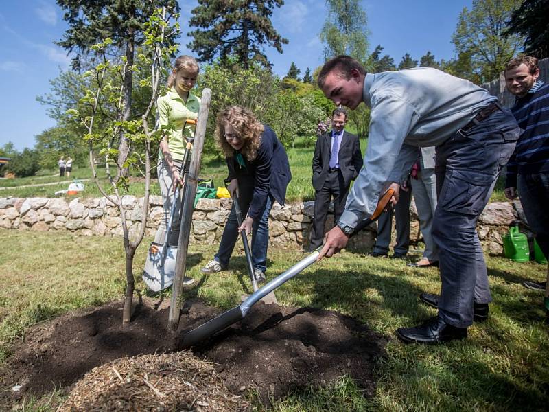 Symbolické vysazení moruše černé Nicholase Wintona žáky ze ZŠ Sira Nicholase Wintona v Kunžaku se uskutečnilo ve čtvrtek 5. května 2016 v Botanické zahradě v Praze.