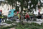 Odstraňování stromu na náměstí Republiky