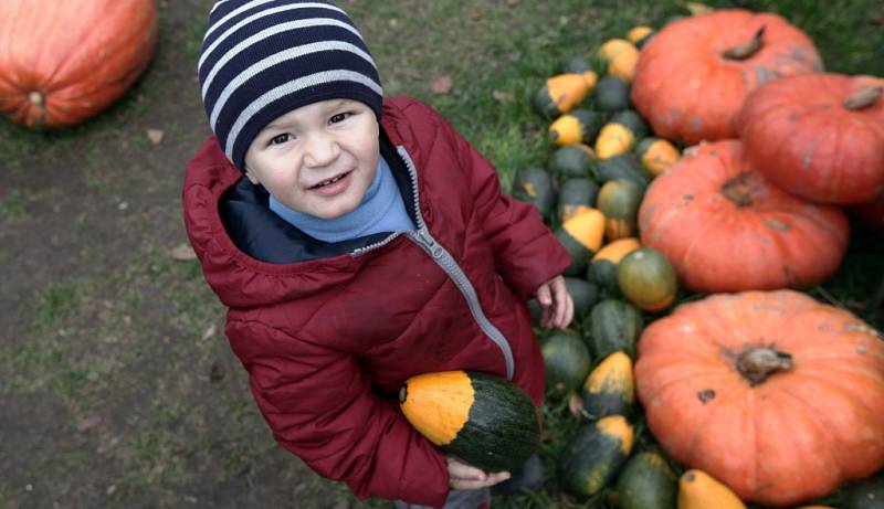 Podzimní dýňové hrátky v pražské botanické zahradě.