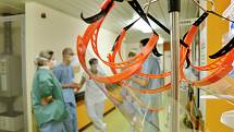 Fakultní nemocnice v Motole se stará o pacienty nakažené infekcí COVID-19.