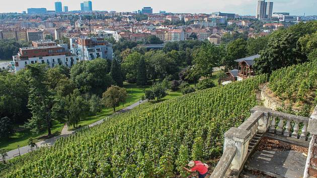Vinice Grébovka. Vinohrad s romantickým altánem leží v prudkém svahu ve spodní části Havlíčkových sadů v Praze.