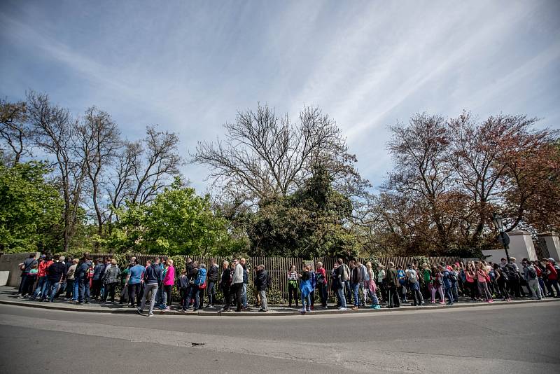 Fronty turistů před Pražskýho hradem dopoledne 3. května. Na snímku vstup přes Jelení příkop.