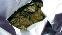 Uvnitř mercedesu celníci objevili 33 kilogramů sušené marihuany, která byla kvůli své charakteristické aromatické vůni ještě zabalena v hliníkových sáčcích