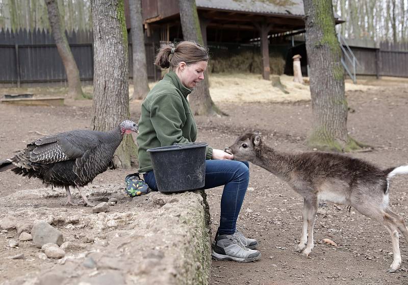 Zookoutek Malá Chuchle je zřízen u hájovny v Chuchelském háji v Malé Chuchli v Praze.