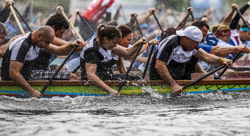 Festival je nejstarším závodem dračích lodí v České republice, letos se koná již 18. ročník.