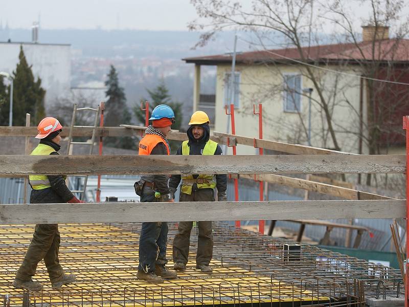 Stavba nového pavilonu v jižní části botanické zahrady v pražské Troji.