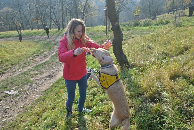 Hermíně pomáhá při pádu do bezvědomí její fenka Margie