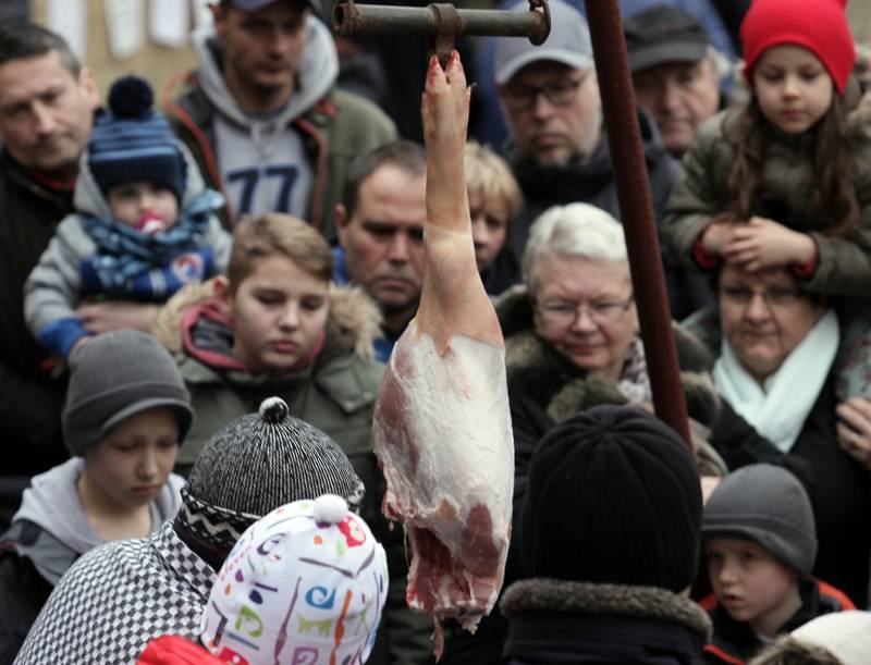 Letenské prase aneb zabijačka v muzeu. Tradiční slavnost spojená s ukázkou práce s výkladem řezníka Tomáše Hudery při staročeské zabijačce. Národní zemědělské muzeum.