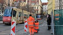 Anenský trojúhelník. Vzrostlý javor, který chce městská část Praha 1 pokácet, hlídá policie.