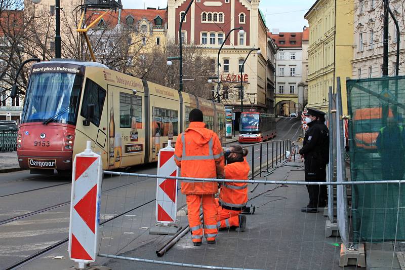 Anenský trojúhelník. Vzrostlý javor, který chce městská část Praha 1 pokácet, hlídá policie.