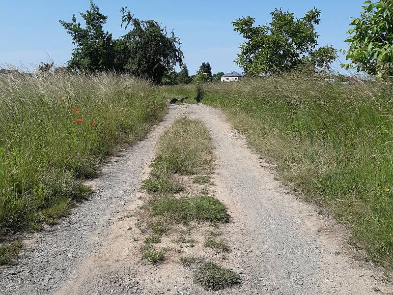 Plánovaná cyklostezka z Cholupic do Dolních Břežan na okraji Prahy se nelíbí místním obyvatelům. Asfalt podle nich zničí krajinu.