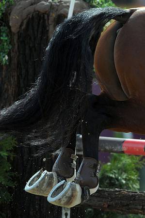 Světový pohár v parkúru v Tróji, který se jel pod názvem Concours De Saut D´Obstacles Internationale Officiel - Grand Prix ČSOB.