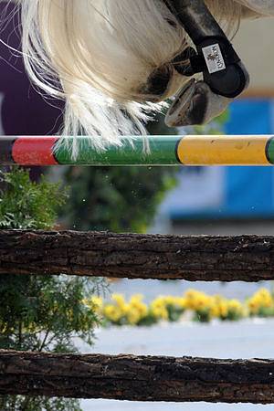 Světový pohár v parkúru v Tróji, který se jel pod názvem Concours De Saut D´Obstacles Internationale Officiel - Grand Prix ČSOB.