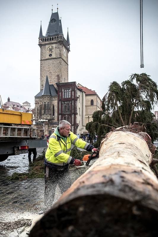 Kácení vánočního smrku na pražském Staroměstském náměstí probíhalo 9. ledna 2020 pod dohledem umělce Marka Číhala. Číhal společně s brněnskými truhláři ze dřeva stromu vyrobí charitativní stoly.