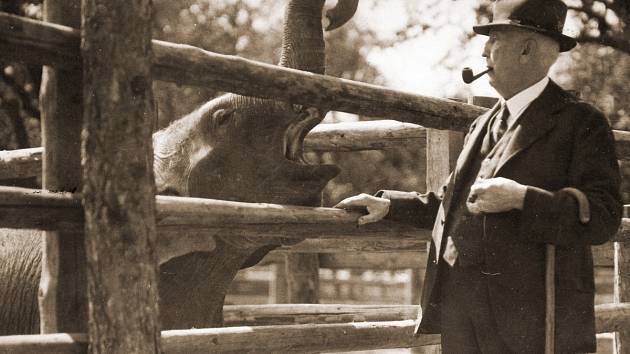 První ředitel Zoo Praha, prof. Jiří Janda se slonem Babym. 