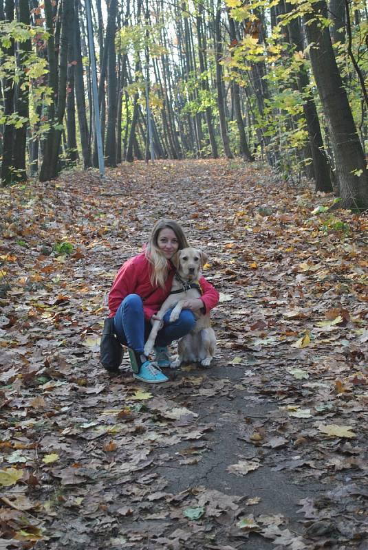 Hermíně pomáhá při pádu do bezvědomí její fenka Margie