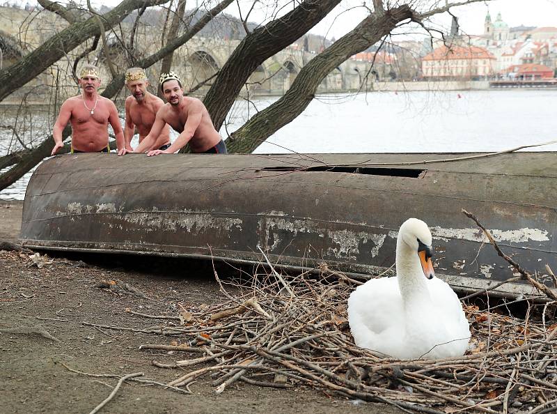 Tříkrálová otužilecká plavba pro převoznický punč 2019 pod Karlovým mostem.