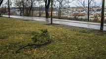 Následky silného větru 17. února 2022 v Praze a okolí.