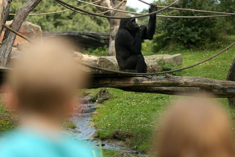 Z oslav a křtu knihy k 90ti letům Zoo Praha.