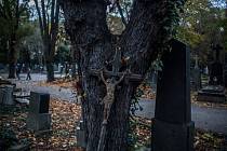 Lidé si připomínají svátek zemřelých, Dušičky, na pražských Olšanských hřbitovech.