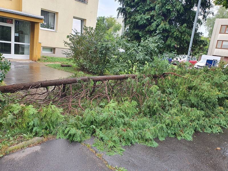 Pražští hasiči odstraňovali spadlé stromy a větve