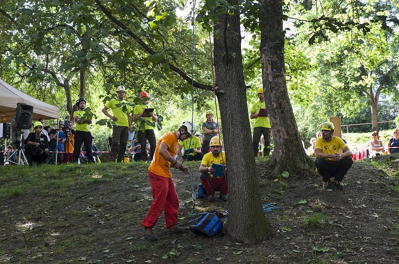 Mistrovství ve stromolezectví v parku Jezerka