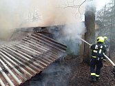 Zásah jednotek hasičů při požáru v Klánovickém lese.