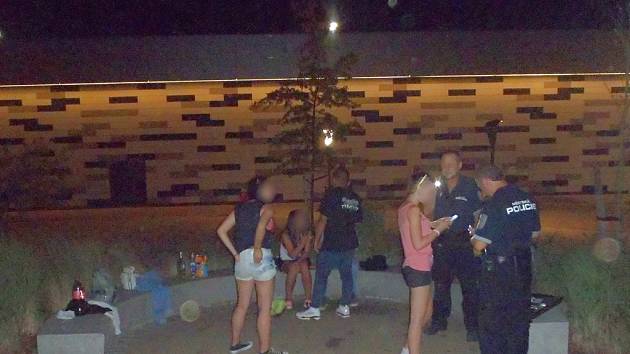 Tři případy popíjející mládeže řešili pražští strážníci během pondělní a úterní noci na Černém Mostě.