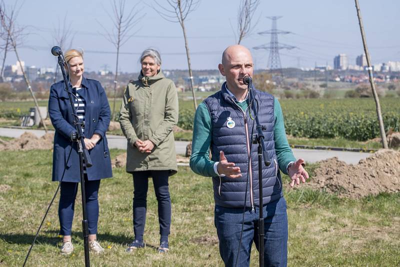 Alej se stovkou lip nově zkrášluje obec Vestec na Praze-západ. Dobrovolníci ji v sobotu 23. dubna vysadili na počest stého výročí loni zesnulého manžela britské královny prince Philipa.