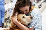 Program 'Era pomáhá regionům': léčba psí láskou.