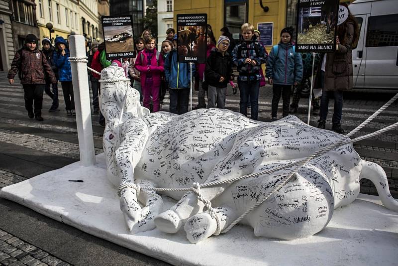 Socha ležící spoutané krávy byla vystavena v pondělí 19. října 2015 na Jungmannově náměstí v Praze v rámci evropského turné Cow on Tour na podporu ukončení vývozu hospodářských zvířat z Evropské unie.