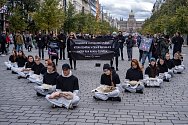 Tichý pietní akt za oběti živočišného průmyslu na Václavském náměstí v Praze.