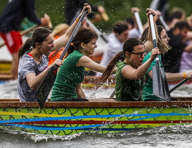 Festival je nejstarším závodem dračích lodí v České republice, letos se koná již 18. ročník.