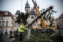 Kácení vánočního smrku na pražském Staroměstském náměstí probíhalo 9. ledna 2020 pod dohledem umělce Marka Číhala. Číhal společně s brněnskými truhláři ze dřeva stromu vyrobí charitativní stoly.