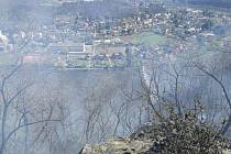 Požár lesa u Libčic nad Vltavou
