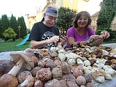 MASÁKY A HŘIBY. Tři čtvrtiny domácností chodí na houby. Lidé přitom rozšiřují spektrum hub, které sbírají. Stále oblíbenější jsou například růžovky neboli masáky. Ilustrační foto.